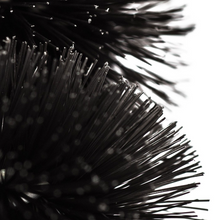 Load image into Gallery viewer, Muc-Off Premium Two Prong Brush close up